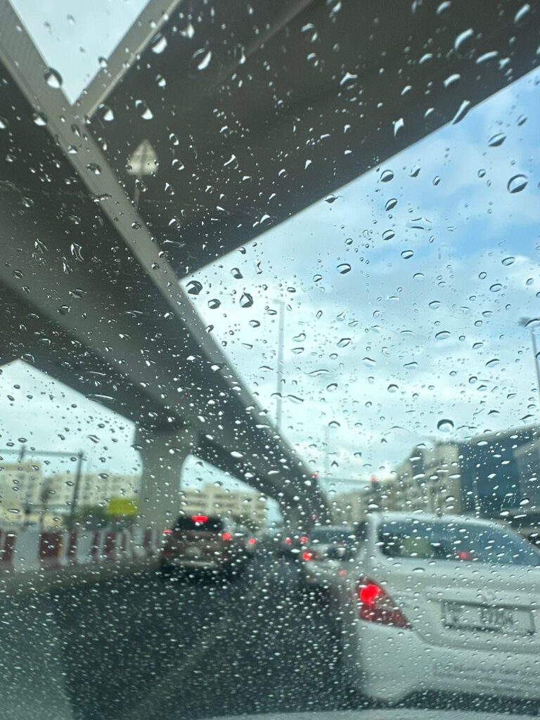 Eab11dd9 0ac6 4f76 87d3 c8448415bf8c file.jpg