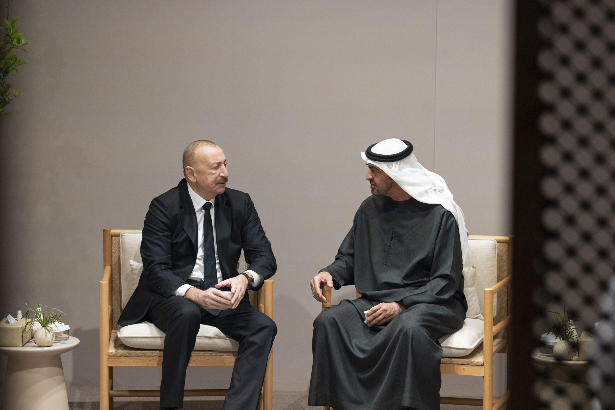 Ecc385d6 bcc4 43c4 9e91 f7848b8d1a7e file.jpg