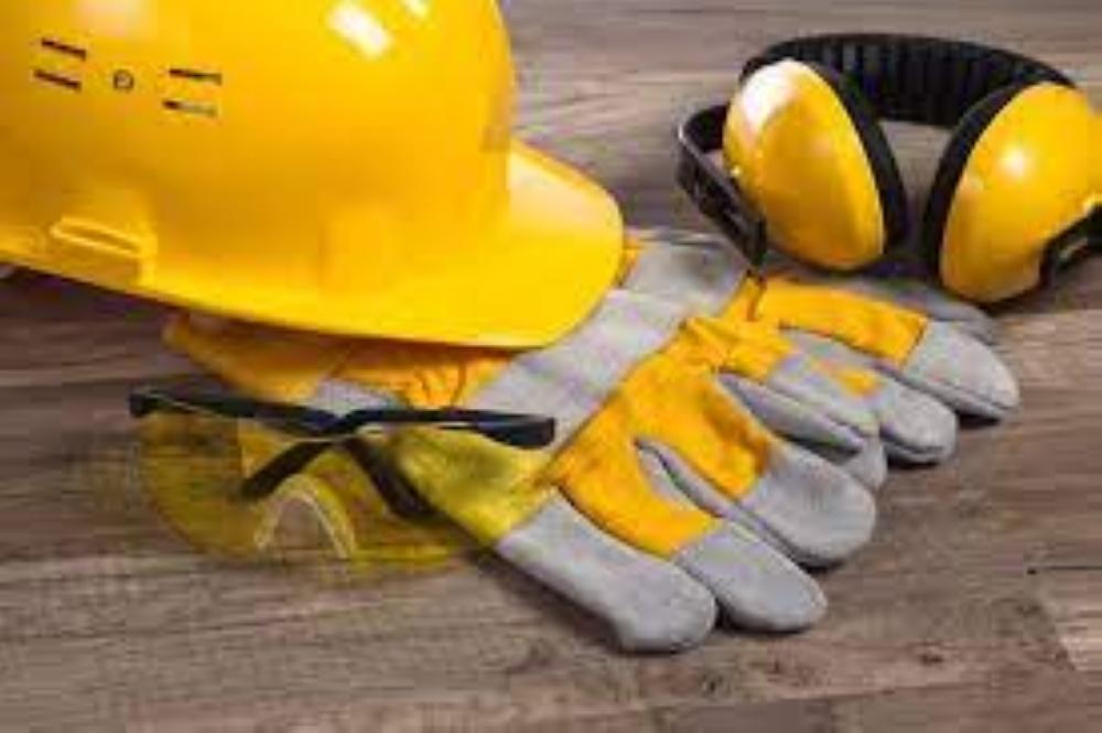 F61db047 e753 47f8 9696 1b2903613e59 file.jpg