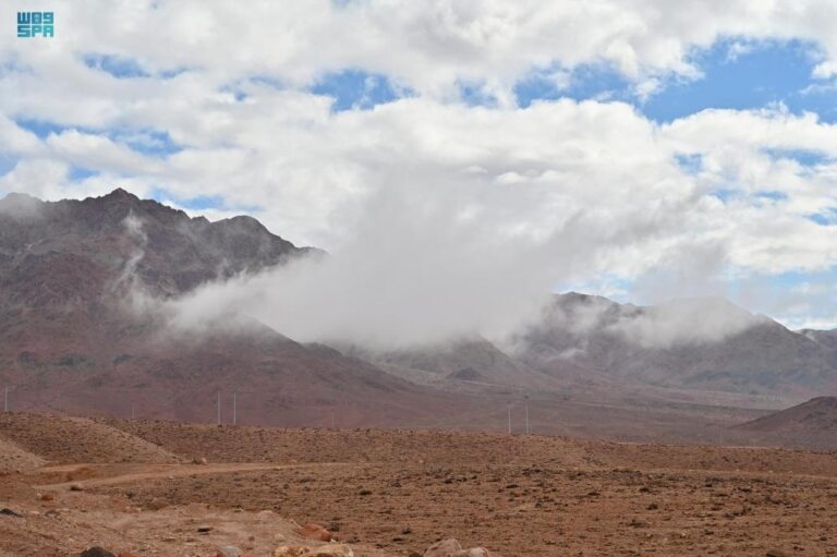 F6ae31a1 76ed 4df5 8664 c627c42323b9 file.jpg