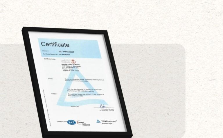 Faf99546 908d 44ce 925a 727928af66a9 file.jpg