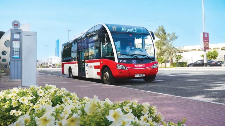 017f04b7 6db9 49ea 8569 36d3496fb894 file.jpg