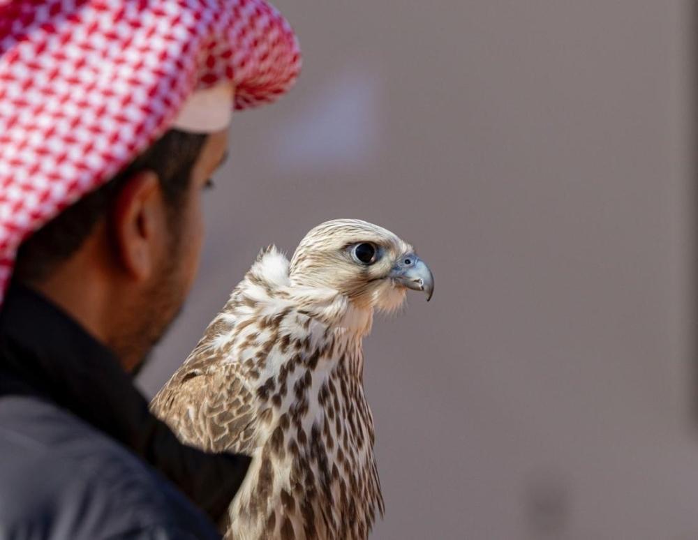 02a7459d 16d5 4fd5 a9d6 d62f8d346e45 file.jpg