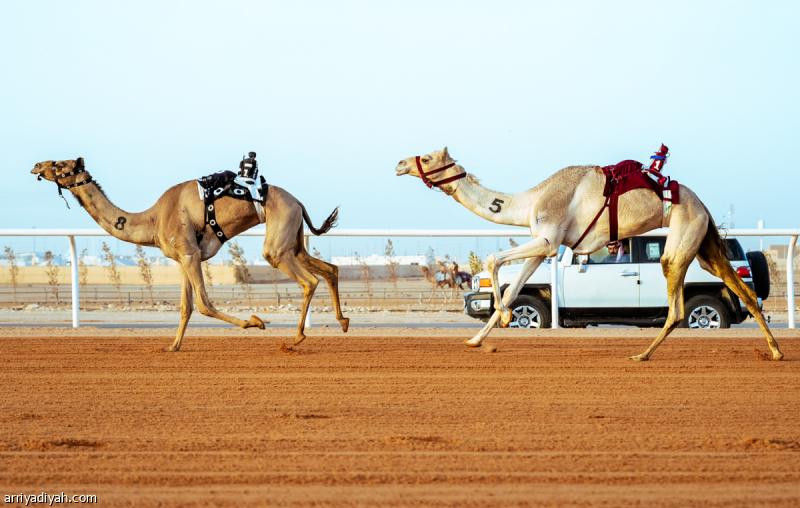 056848ed 5536 447a 9a60 e4f58706b6b3 file.jpg