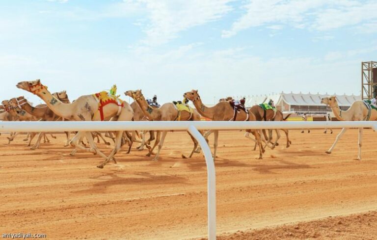 06439860 0449 4592 a7bb af2325fab4c4 file.jpg