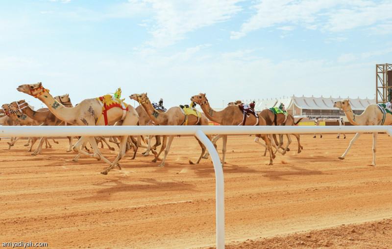 06439860 0449 4592 a7bb af2325fab4c4 file.jpg