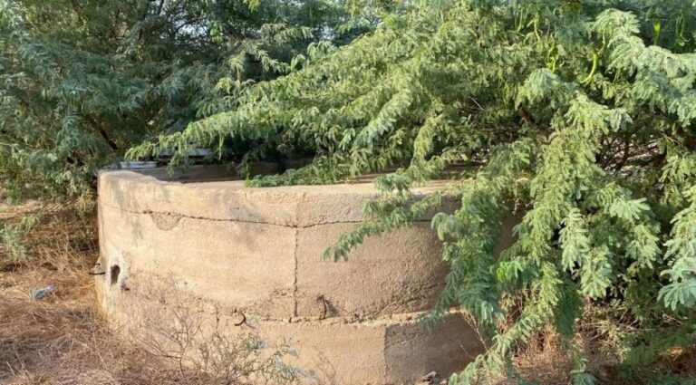 08f899ae 333f 4354 9a9f 6a50644fd36f file.jpg