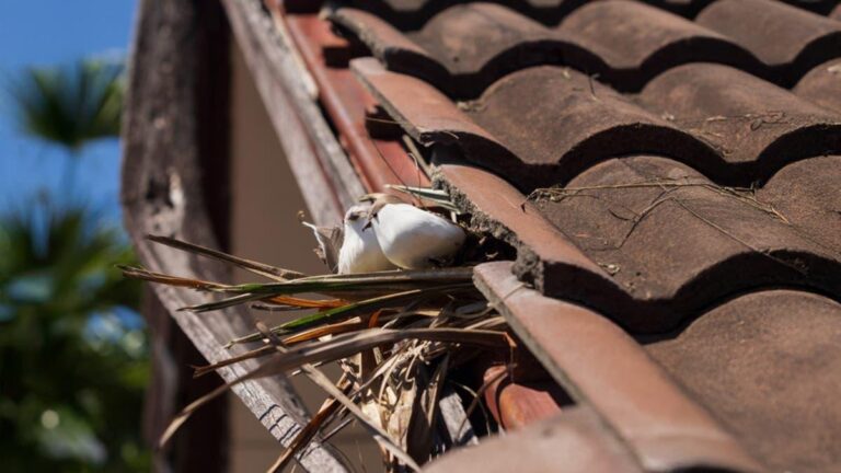 099107b0 acbf 48dd 9253 30b087b2e1e2 file.jpg