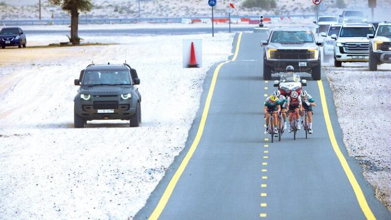 0b7bb32a 45dd 4231 a25a 332b5a6b7a73 file.jpg