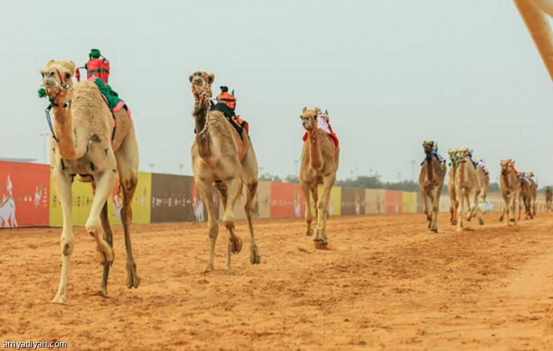 0da07917 e344 4b89 a49d 0d7c90ba84f4 file.jpg