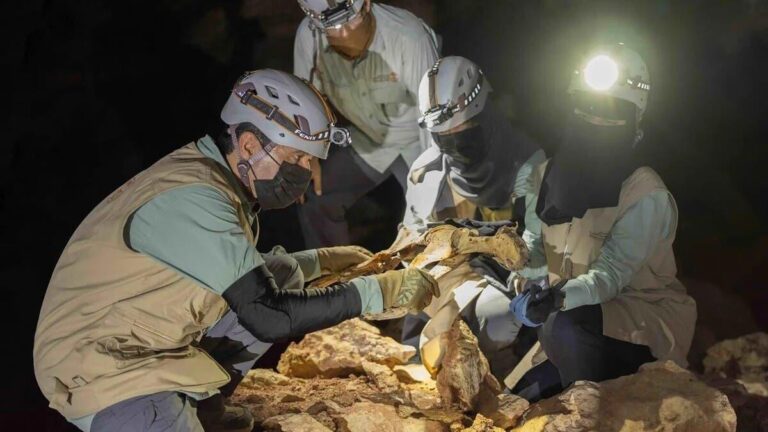 0dc41ede c07b 4eae 8b5a 47f461445fb8 file.jpg