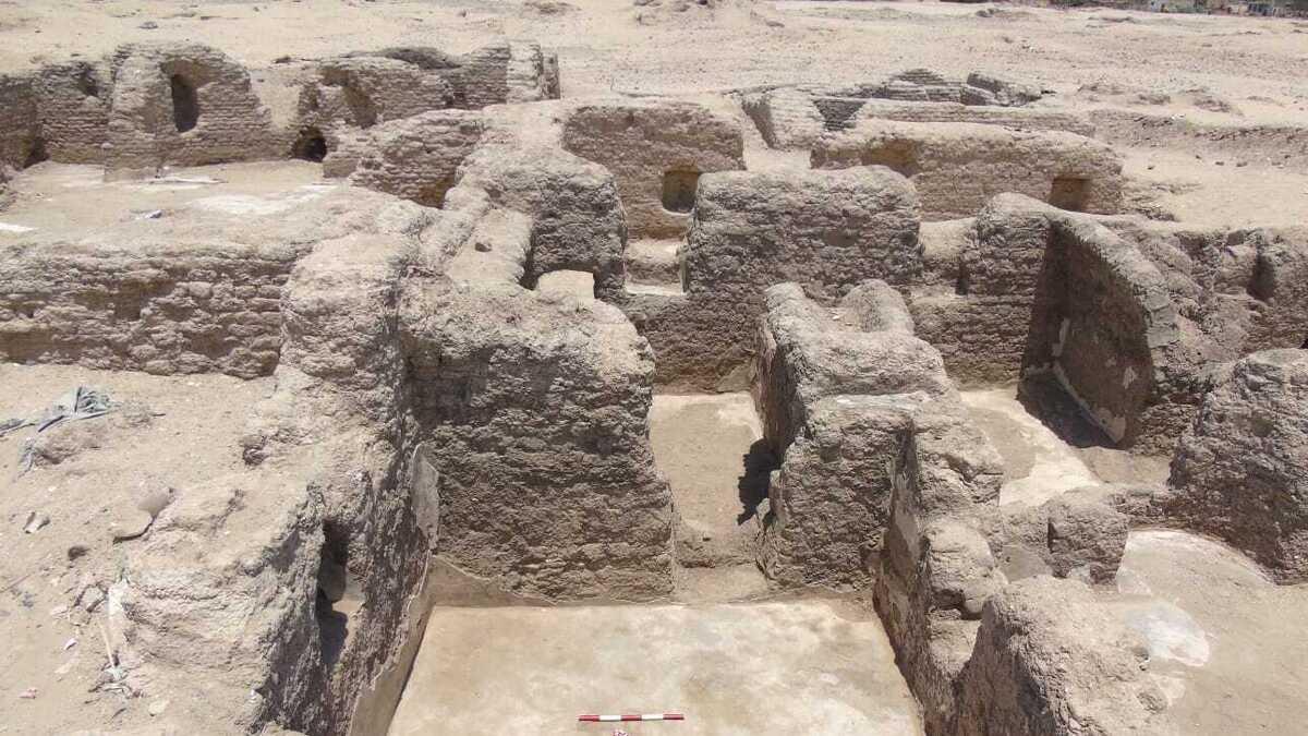 0fb3df81 2b81 4f22 80d6 b330b56ad3b6 file.jpg