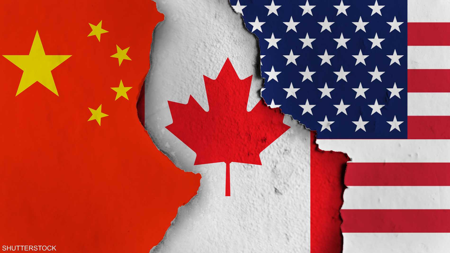 1030dc54 a0ba 4786 b2a4 0a85af48e235 file.jpeg