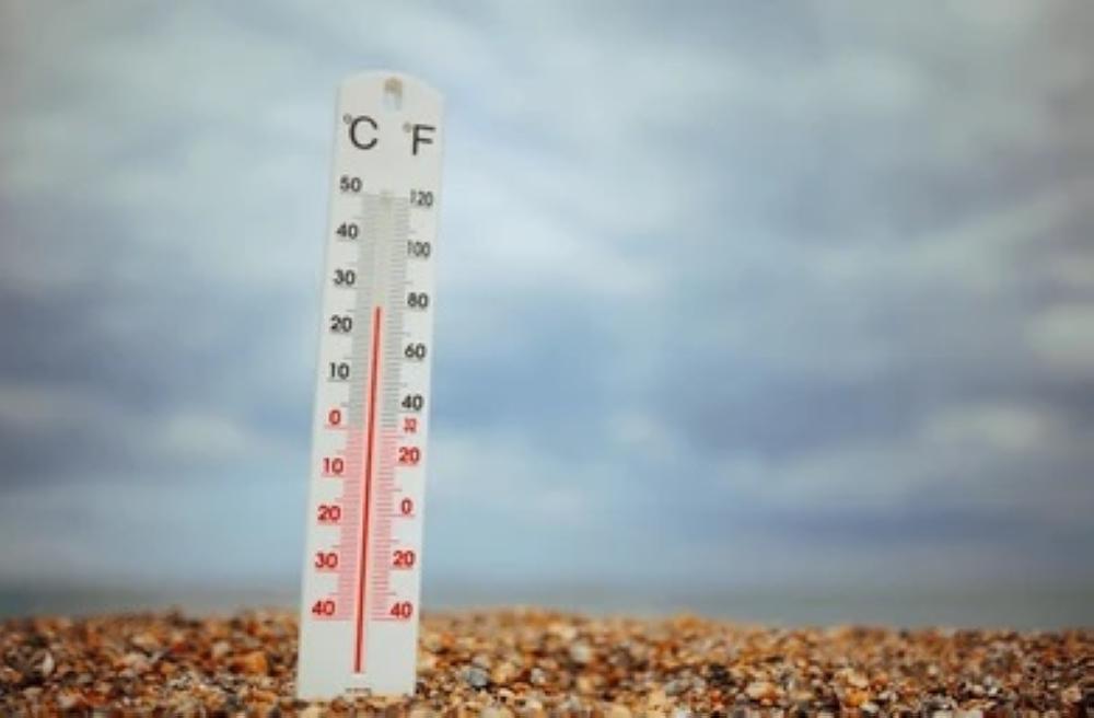 14cf972a dda6 450e bdf0 84fe993893ba file.jpg