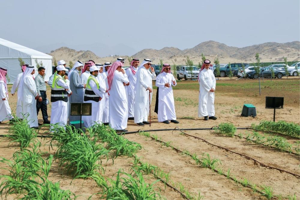 1967253d bf40 45f7 854e 5082790a9dc5 file.jpg