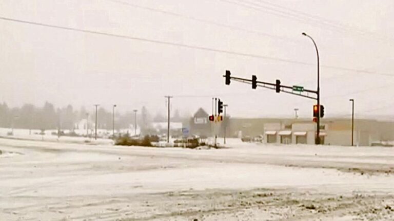 1aaff4b4 fb86 4087 ab95 ec15a3afed12 file.jpg