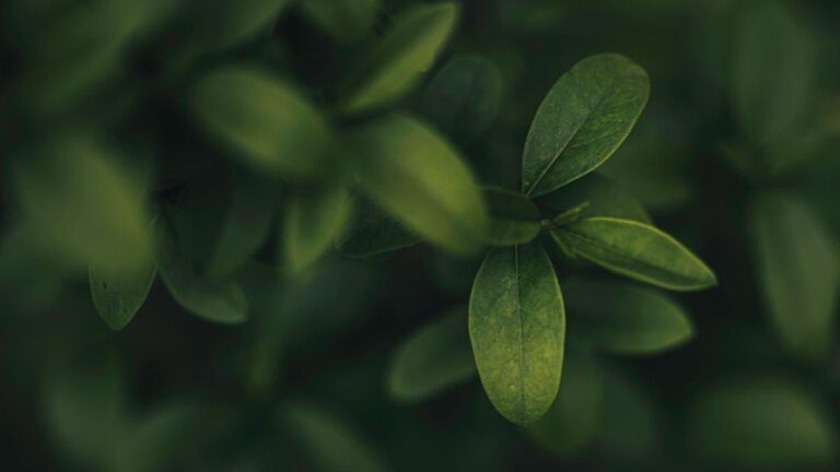 1d0d1724 d738 4e52 aa72 d24721abf1dc file.jpg