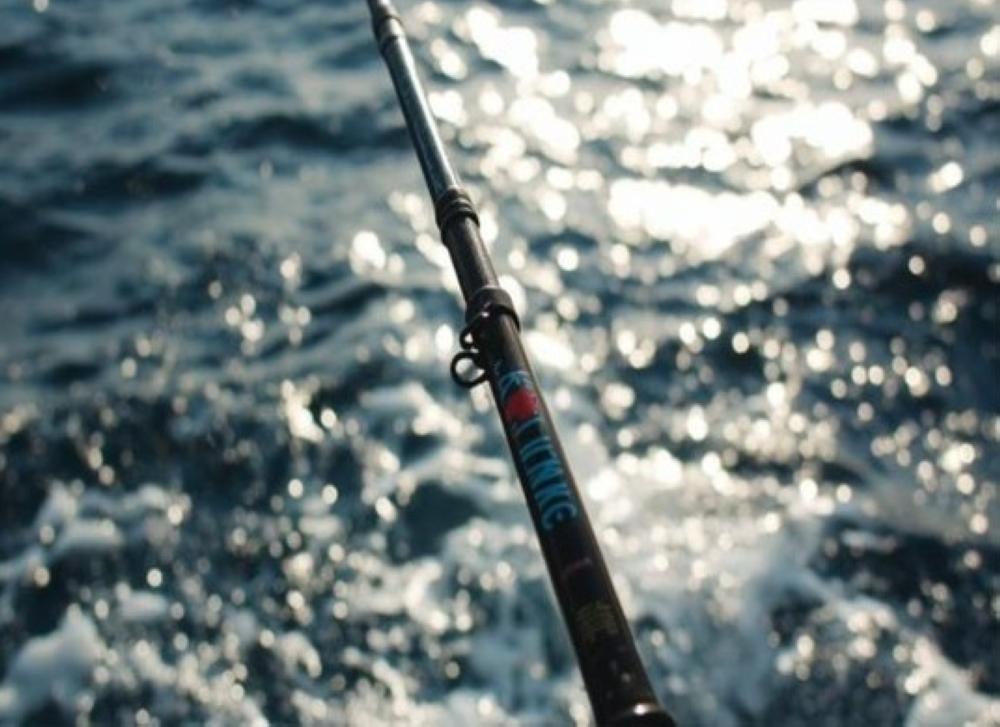 1d1f84ea 4928 4970 a08d 0a5e442896e3 file.jpg