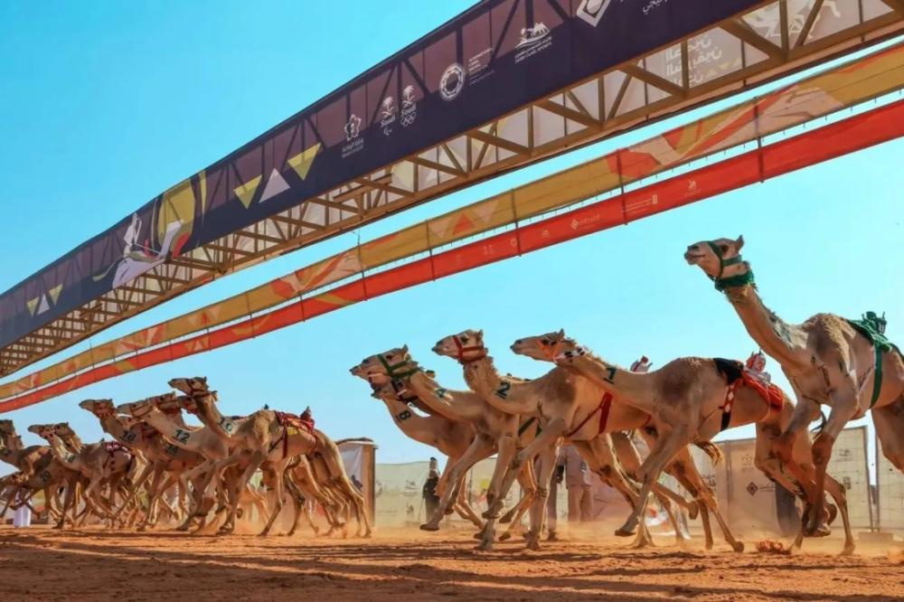 1d40a053 2486 49fd 9fdd 842da67b7b12 file.jpg