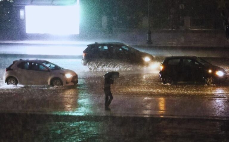 1e55f6a6 5631 456a b740 1e480b63c48a file.jpg