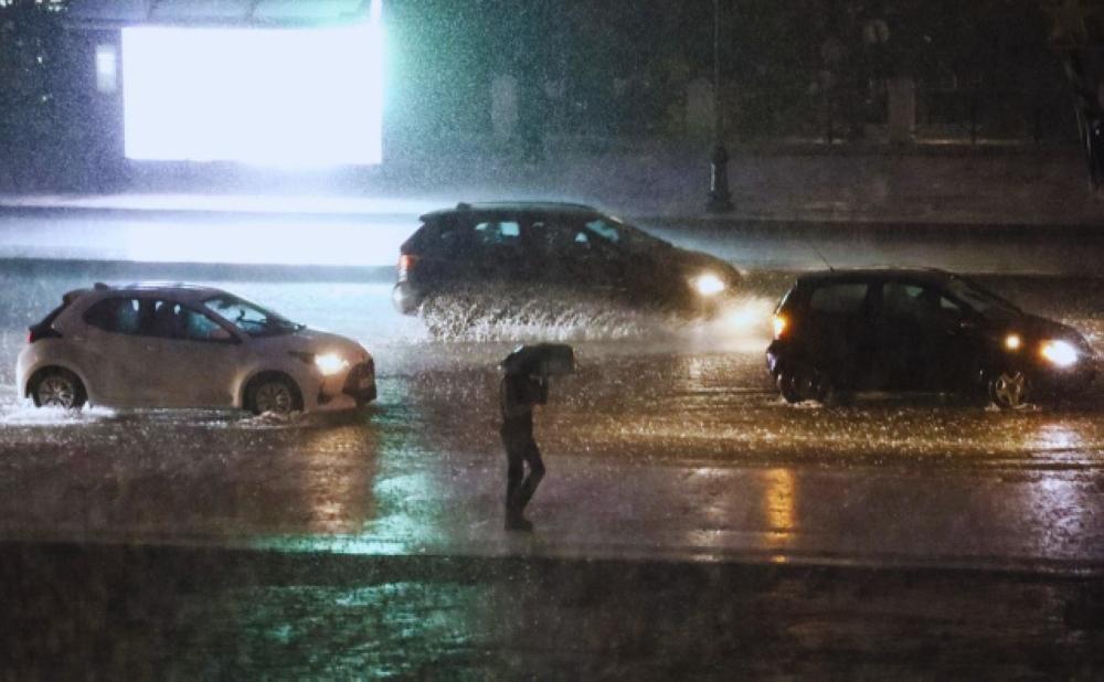 1e55f6a6 5631 456a b740 1e480b63c48a file.jpg