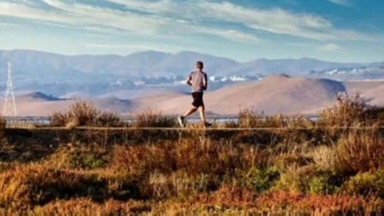 1ff2f137 b373 45a7 bd9b 02a878cc41f4 file.jpg