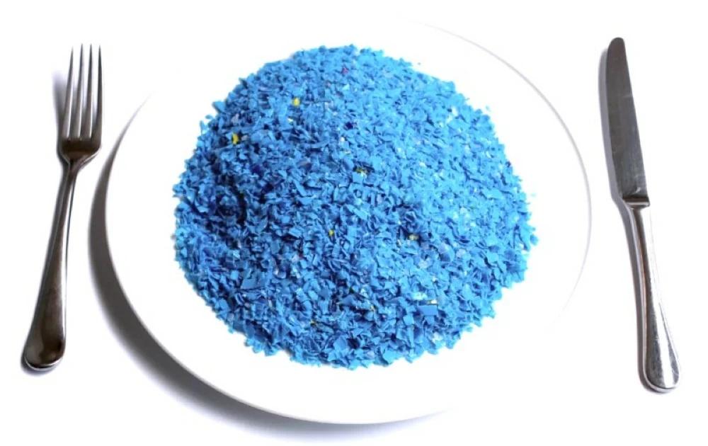 22607fdc f593 466e 9223 2064f9a9fcab file.jpg