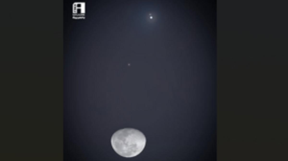 23231a98 fd25 419e 9c2a 9ddb0389561e file.jpg