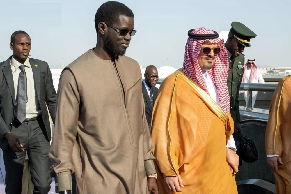 23835e2b 191c 4ba0 8012 014ace22b5e0 file.jpg