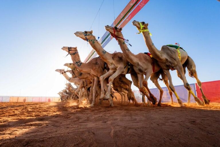 23f43bef bea1 456e 8067 eb059c3d8c70 file.jpg