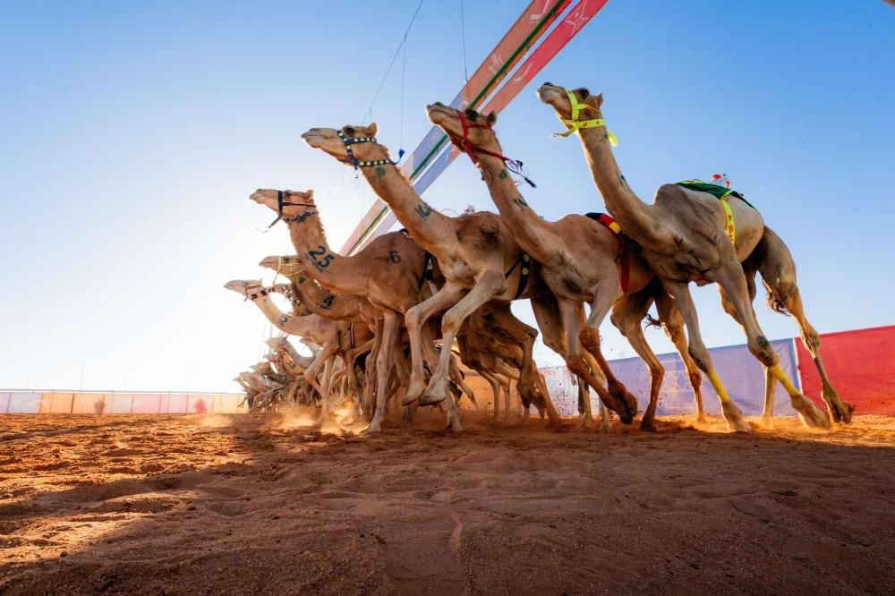 23f43bef bea1 456e 8067 eb059c3d8c70 file.jpg