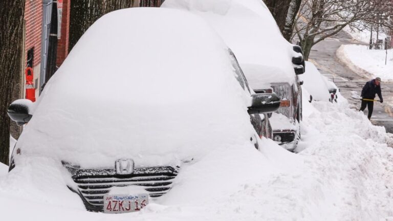 24431bd9 9c51 4a99 9f5e b5002ab6c6c8 file.jpg