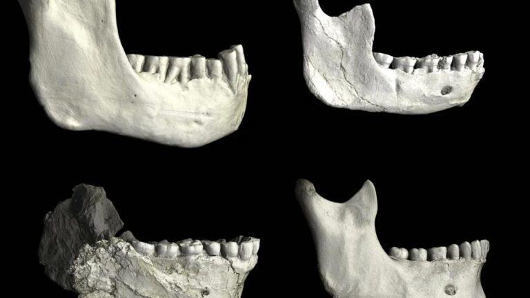 25c6f01f 45ec 4d31 bc81 0386df5eca46 file.jpg