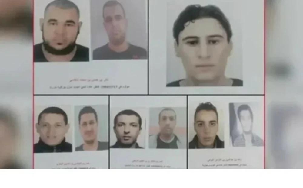 25f0a6e6 4dac 4a89 9b5f 2866af11cf98 file.jpg