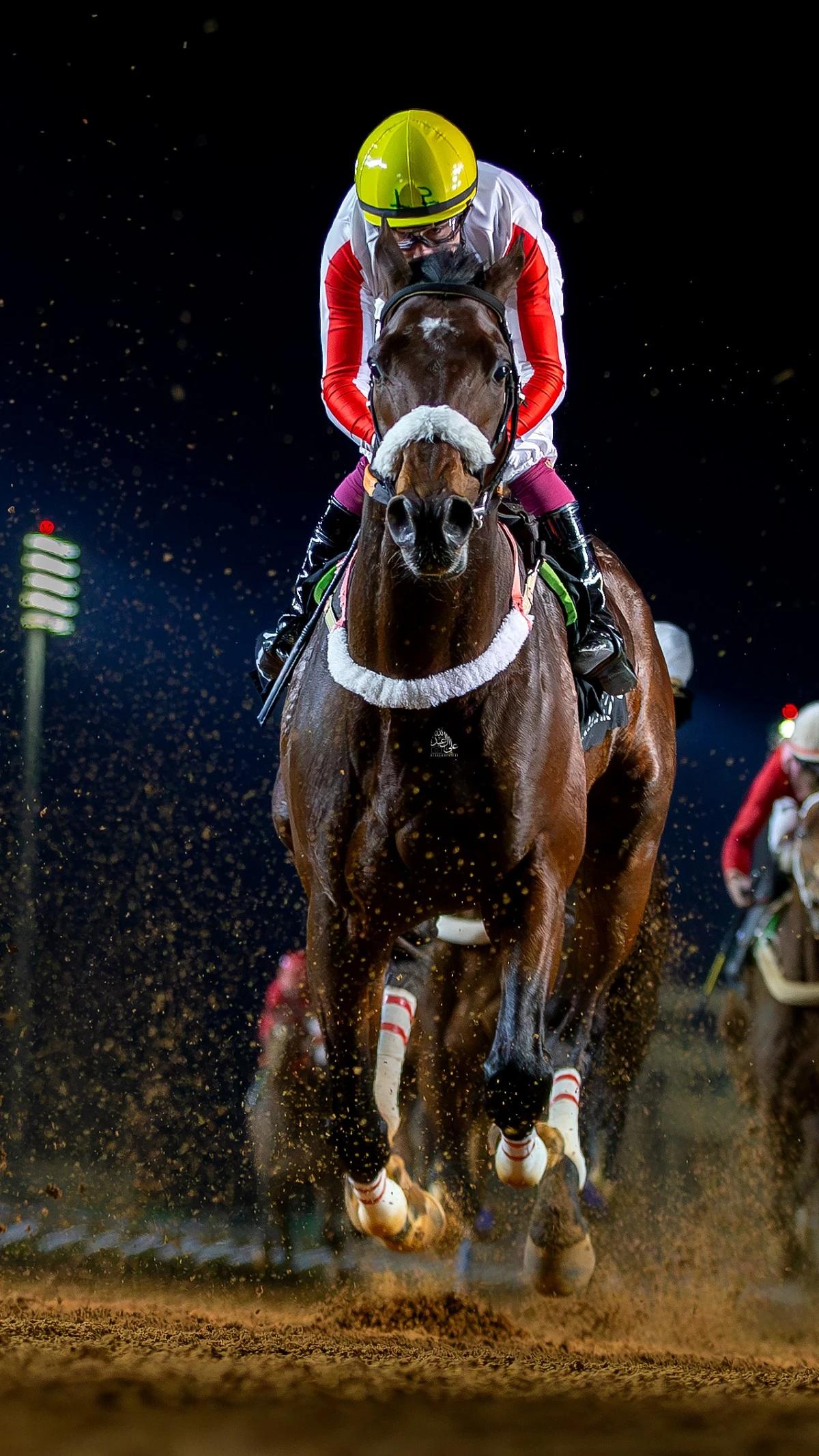 2af18fad 89a8 425c 8b29 1f885309f052 file.jpg