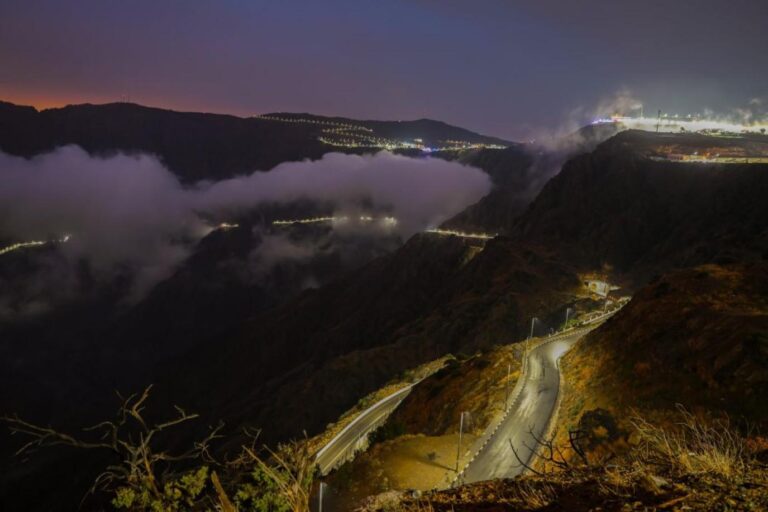 2c6ae549 c181 44b0 a319 c76a53a71f95 file.jpg