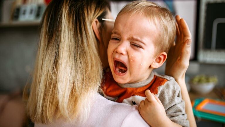 2c91e48d 1610 4d8a 89e4 d63b08ddcfc2 file.jpg