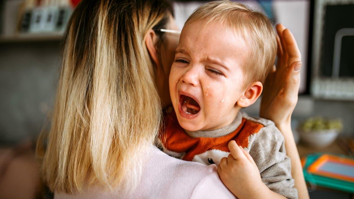 2c91e48d 1610 4d8a 89e4 d63b08ddcfc2 file.jpg