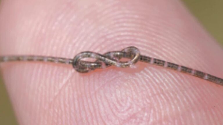 2d4df34c 3165 4a41 ae50 2bca46a4ea90 file.jpg