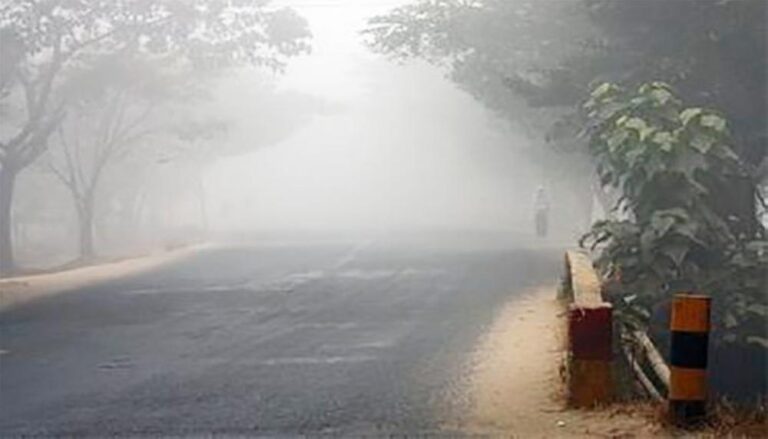 2e1d779b 342f 469f b523 2d1cb164cd23 file.jpg