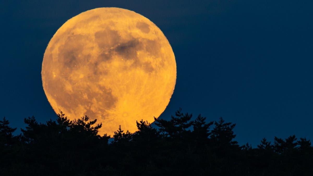 يعانق المشتري بمشهد استثنائي.. سر القمر العملاق بسماء مصر