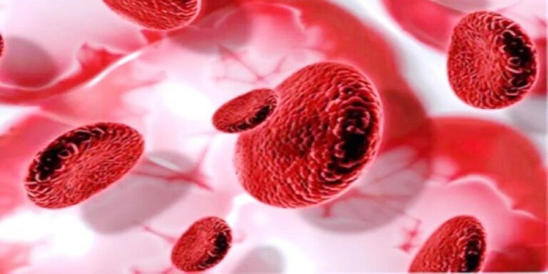 31fb2636 2233 4189 961d f27db5dd5442 file.jpg