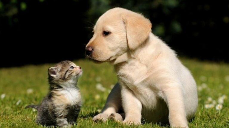 328cd9da 484c 497a b82d d5ee3833405d file.jpg