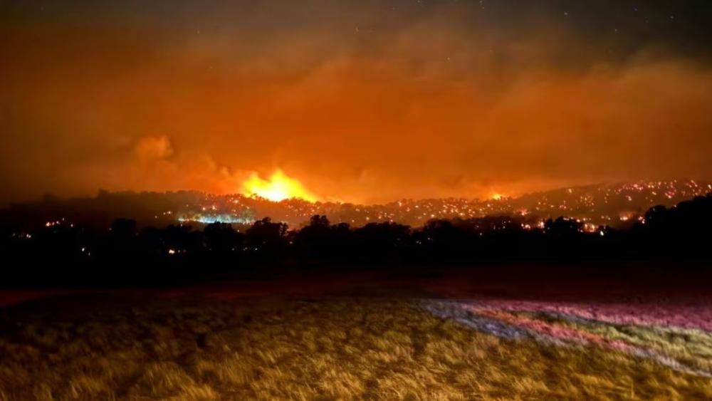 3294d1dd 6791 4ab0 9d93 37bcee2b3748 file.jpg