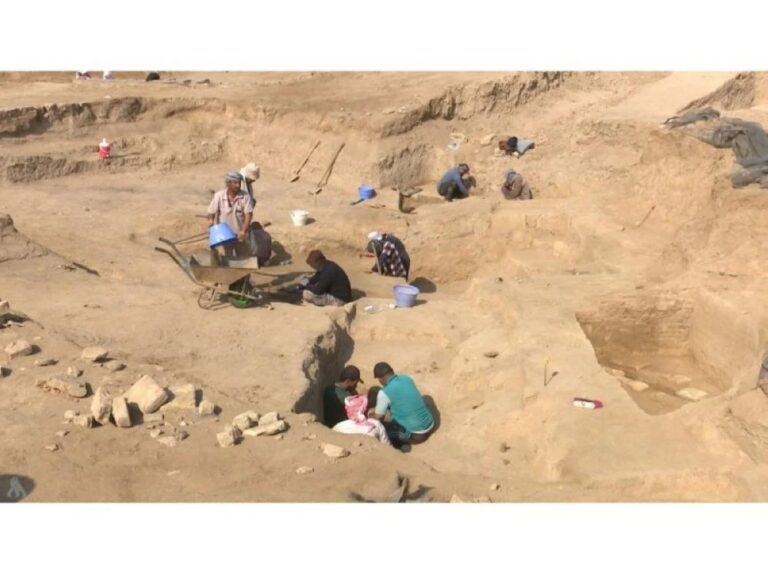 3420d0b9 08b1 4e40 bf88 2a330e875f15 file.jpg