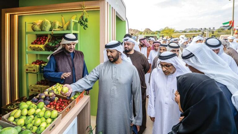 3529caaf ba1f 4b6c 99e4 784877c3478a file.jpg