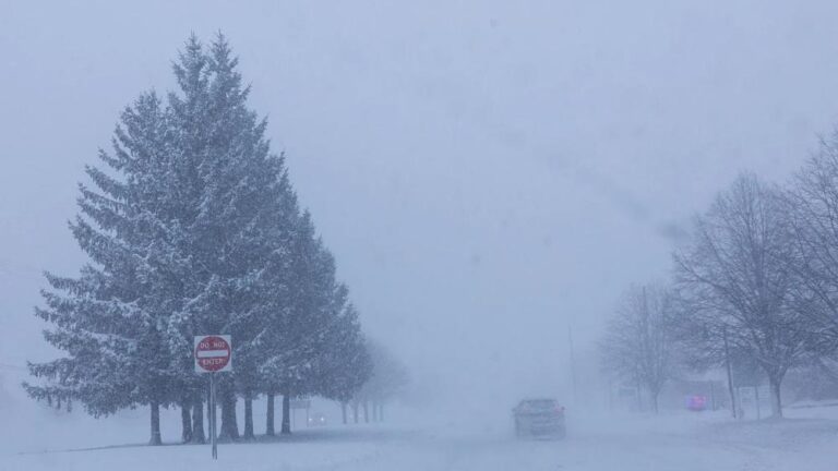 37720189 4e7b 4463 bf7c a5590a2301b9 file.jpg