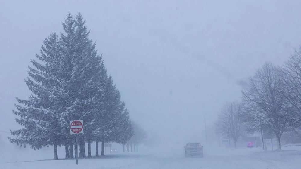 37720189 4e7b 4463 bf7c a5590a2301b9 file.jpg