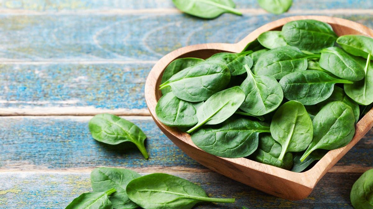 39c51886 48a6 416b 8de0 5d9bd6d3cc16 file.jpg