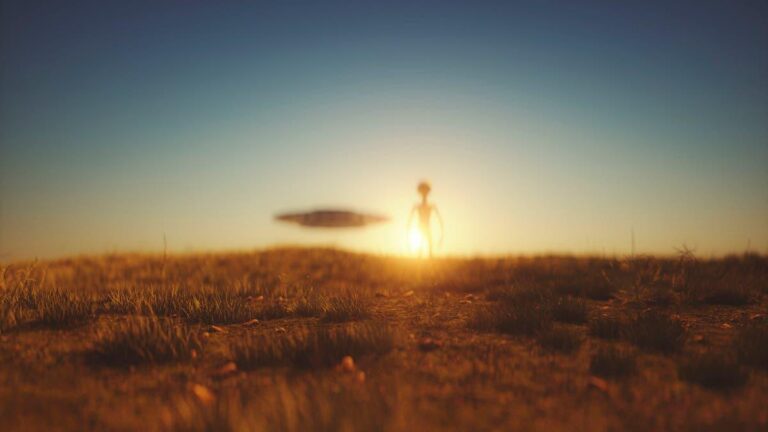 3a058070 57f0 4545 9fd8 56ff00192eb6 file.jpg